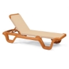 Marina Sling Chaise Lounge with Plastic Resin Frame