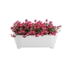 Rotoform Polymer Garden Box Planter
