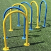Picture of Dog n' Play Park Run Through Hoop,  Galvanized Steel