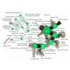 Picture of Legend Hollow Massive Park Playground Structure - Ages 5 to 12 Years