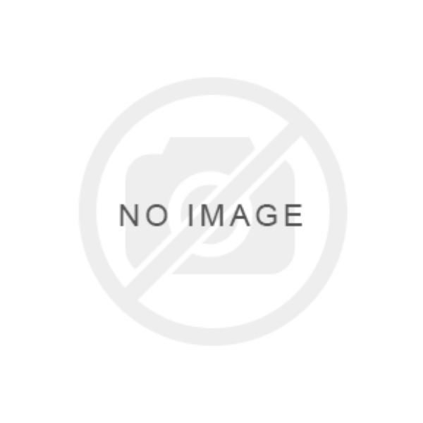 Picture of Annapolis Commercial Metal Playground Equipment - Ages 5 to 12 yr